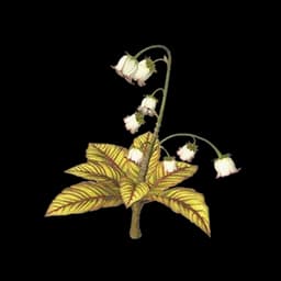 Lanterngrass