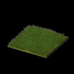 Lawn