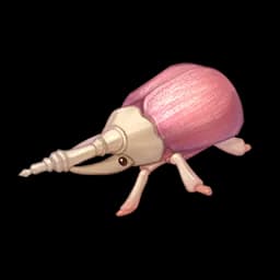 Mani Beetle