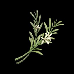 Meadow Zest