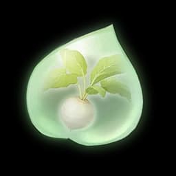 Milky Sweetroot Essence