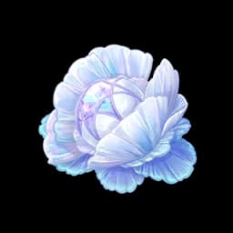 Pearl Bloom