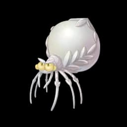 Pearled Spider