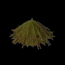 Pile of Leaves