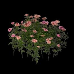 Pink Flowerbed