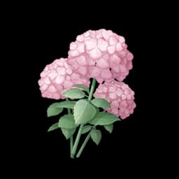 Pink Pomponbloom