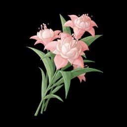 Pink Puffbloom