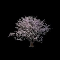 Pink Shrub