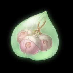 Pink Tinkle Fruit Essence