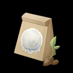Pom-Pom Grass Seed