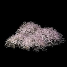 Purple Shrub