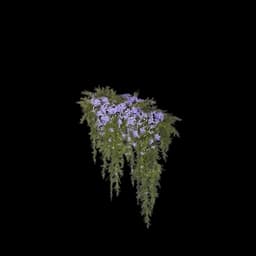 Purple Vine