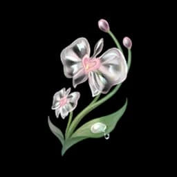Rainy Orchid