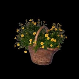 Rattan Basket