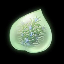 Refreshing Aromasprig Essence