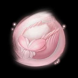 Rose Velvet Essence