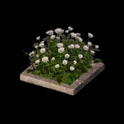Rosy Dots Flowerbed