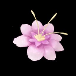 Rouge Lotus