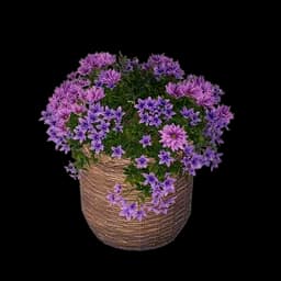 Round Rattan Basket