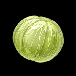 Sack Fruit