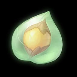 Seed Pearl Essence