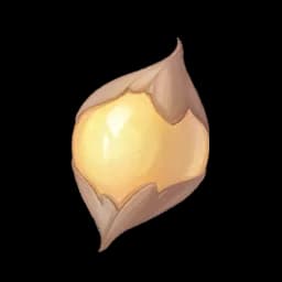 Seed Pearl