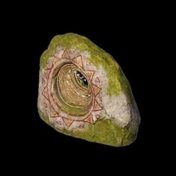 Shell Stone