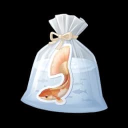 Small Cloudtail Koi