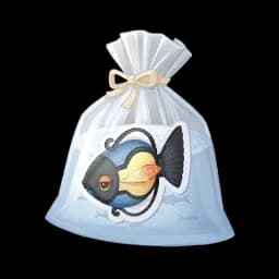 Small Lamp Fish