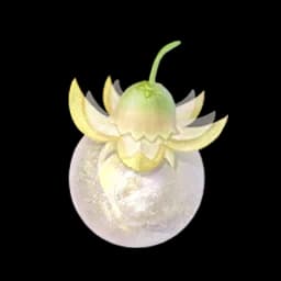 Sol Fruit