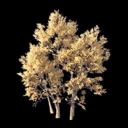 Sparse-Leaf Tree