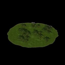 Sparse Woodland Slope