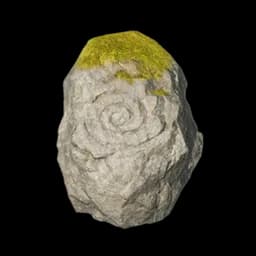 Spiral Fossil