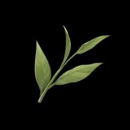 Sprouting Melody