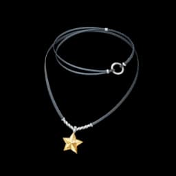 Starlit Encounter