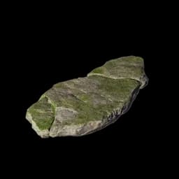 Stone Step