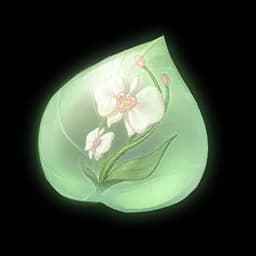 Sunny Orchid Essence