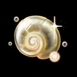 Swirl Bubbles: Elegant