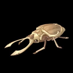 Tailor Beetle