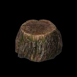 Tallie's Tall Stump