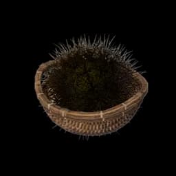 Thornwhisper Pot