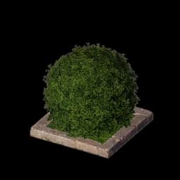 Topiary Shrub