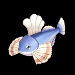 Toque Fish