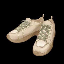 Traveler's Shoes