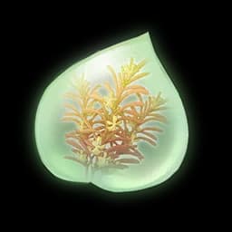Turmeric Aromasprig Essence