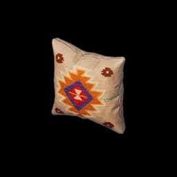 Vibrant Throw Pillow