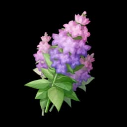 Violet Chimebloom