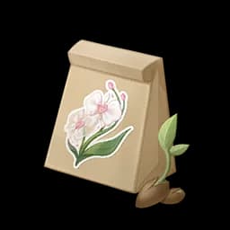 Weather Orchid Seed