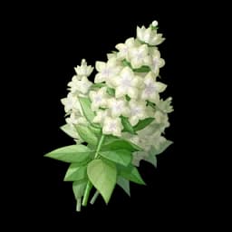 White Chimebloom