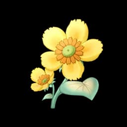Wild Daisy